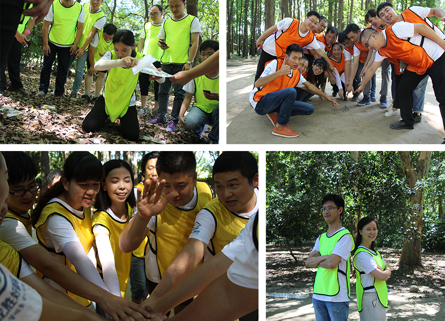 龙胜管拓展训练燃爆夏日，我们“激情不减，活力无限”