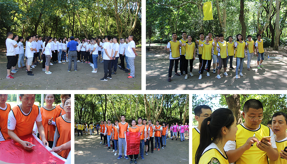 龙胜管拓展训练燃爆夏日，我们“激情不减，活力无限”