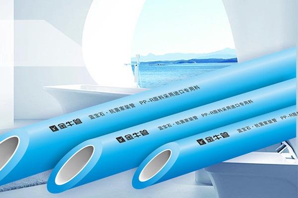 金牛管总代理需要多少钱？乖乖！这你怎么选？