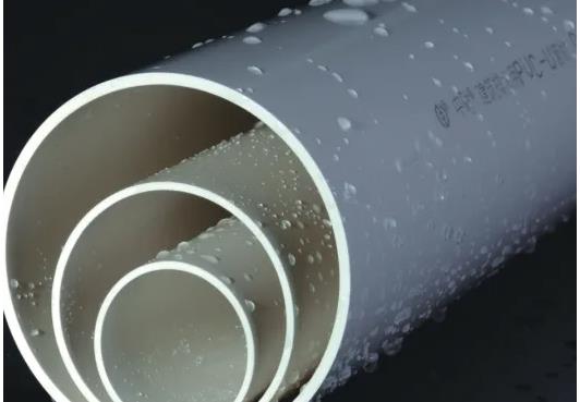 中财区域代理是什么意思？中财代理需要多少钱？