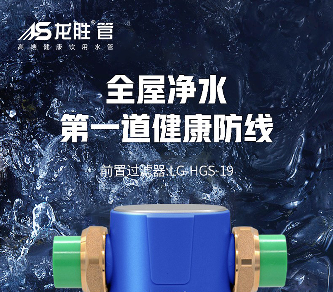 龙胜前置过滤器LS-HGS-19