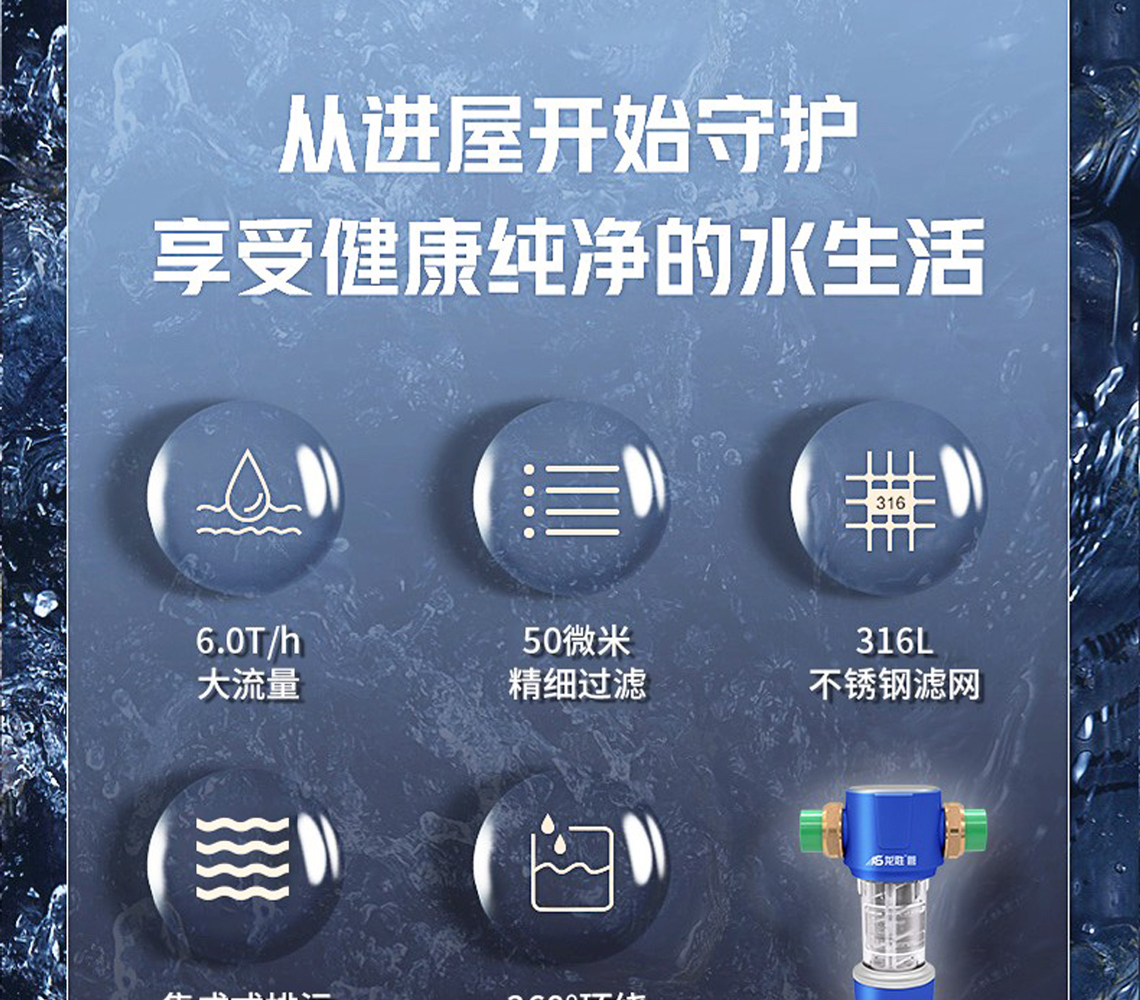 龙胜前置过滤器LS-HGS-19