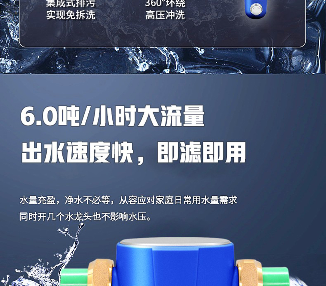 龙胜前置过滤器LS-HGS-19