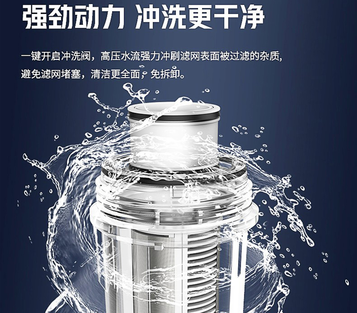 龙胜前置过滤器LS-HGS-19