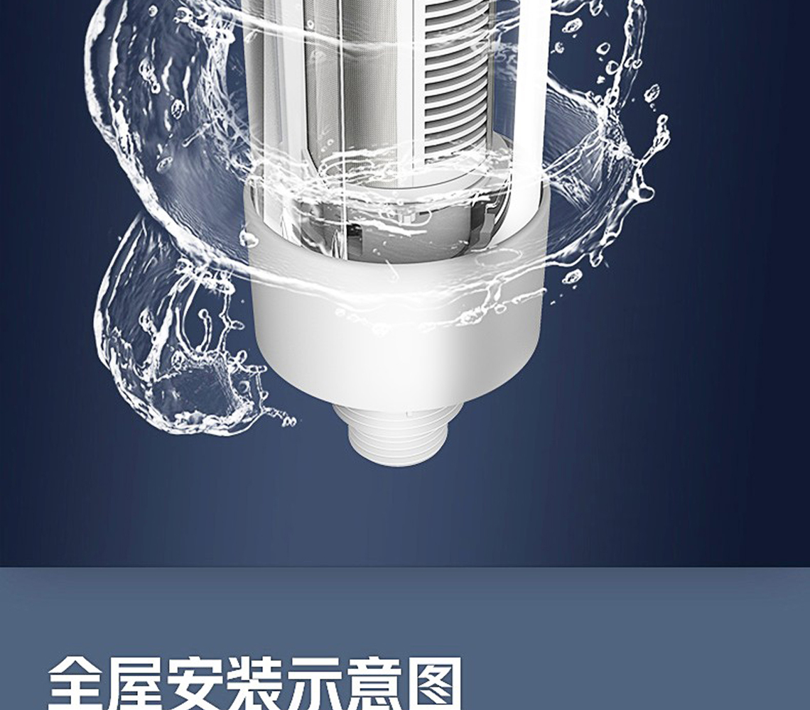 龙胜前置过滤器LS-HGS-19