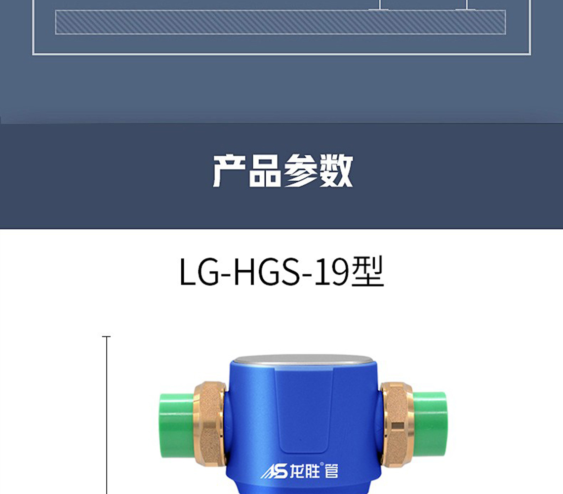 龙胜前置过滤器LS-HGS-19