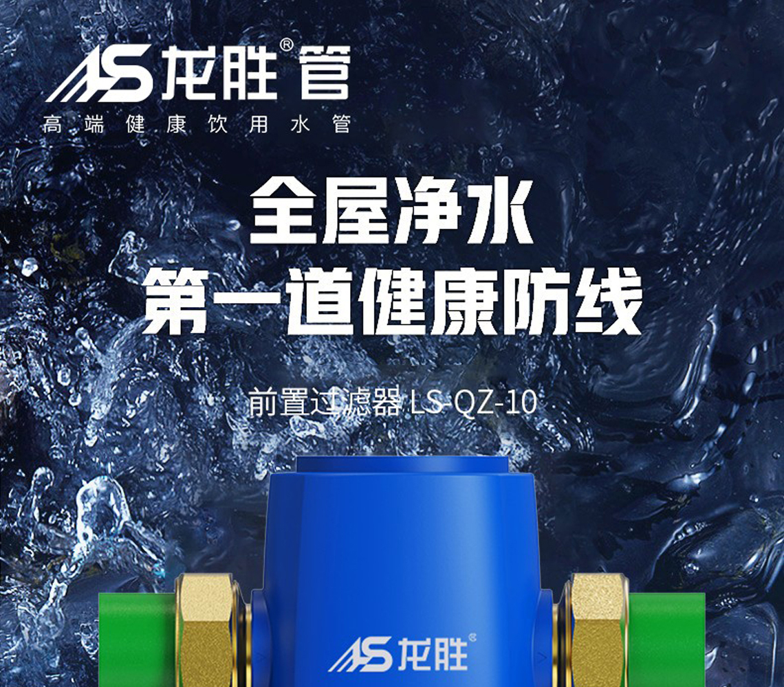 龙胜前置过滤器LS-QZ-10