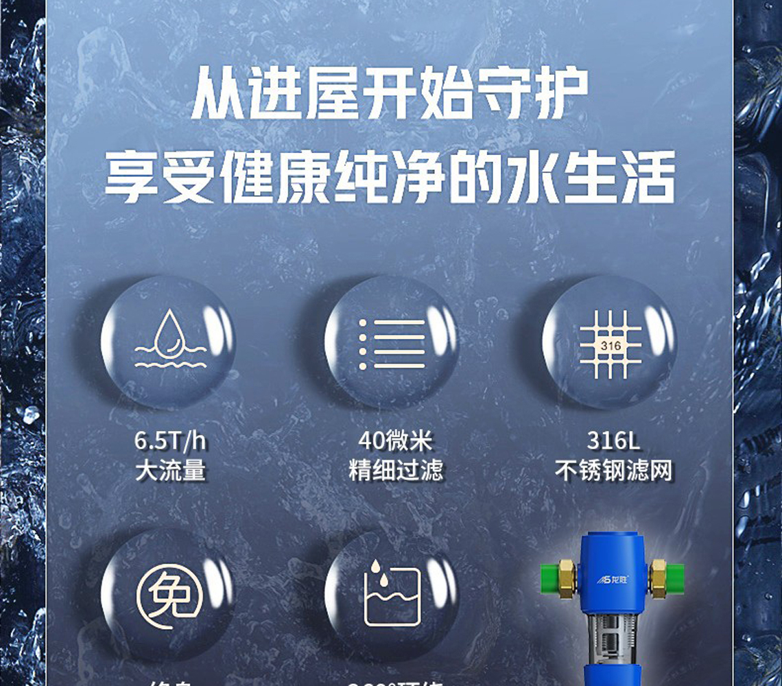 龙胜前置过滤器LS-QZ-10