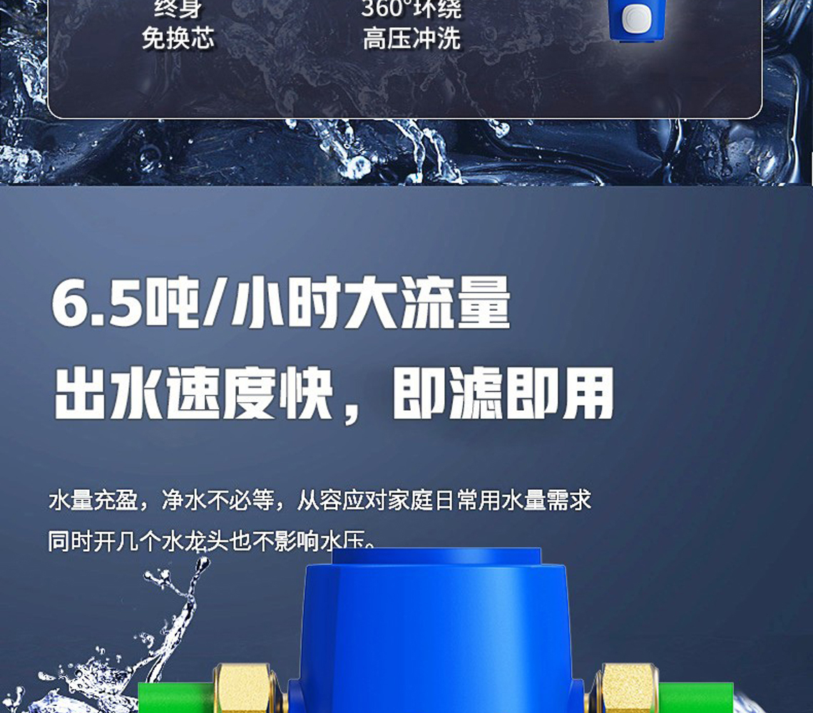 龙胜前置过滤器LS-QZ-10