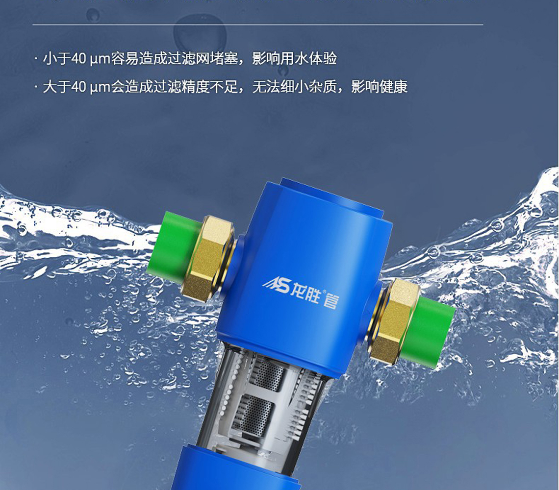 龙胜前置过滤器LS-QZ-10