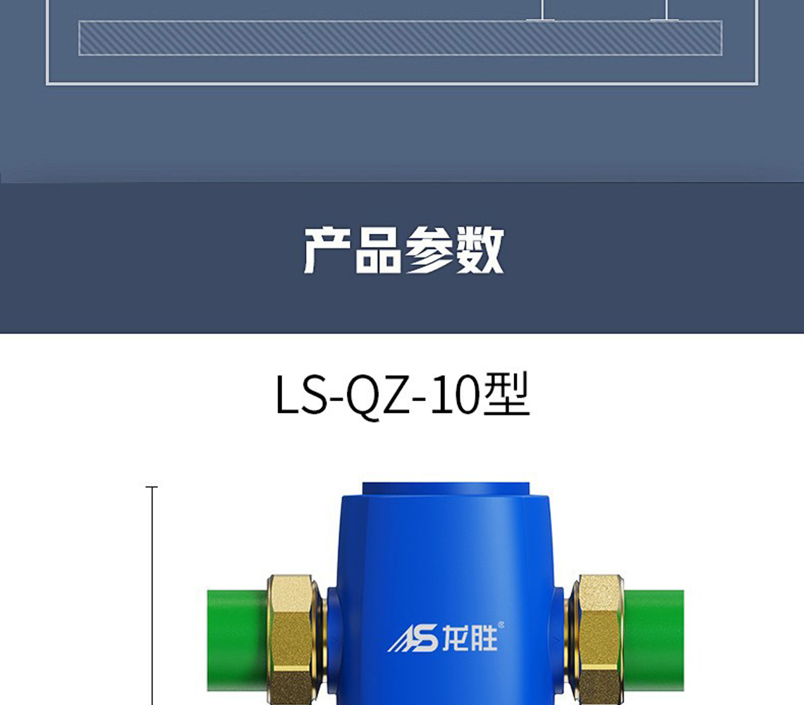 龙胜前置过滤器LS-QZ-10