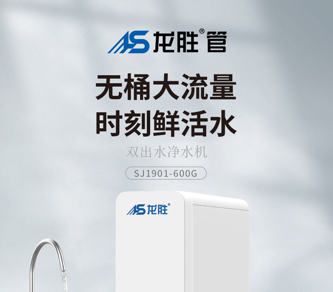 龙胜双出水净水机系列
