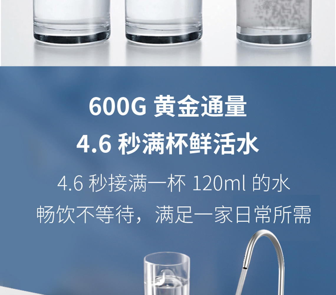 龙胜双出水净水机系列