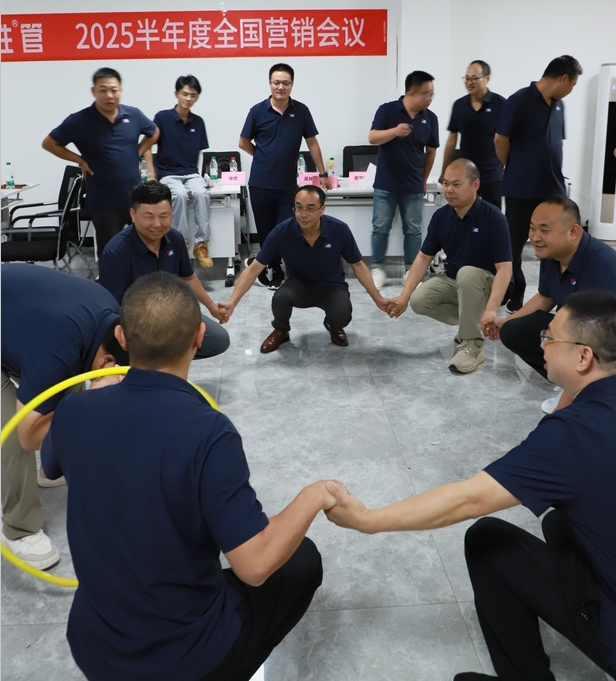 逆势破局，聚力前行！龙胜管2025上半年度营销会议圆满落幕！